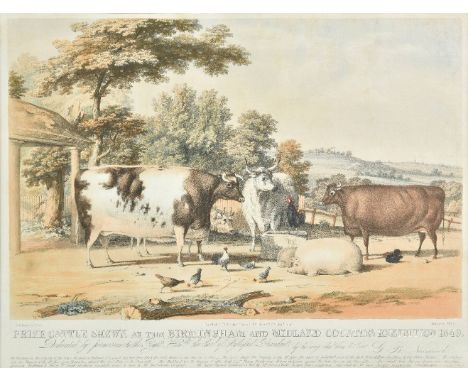 *Underwood (Thomas). Prize cattle shewn at the Birmingham and Midland Counties Exhibition 1849, printed at T. Underwood's lit