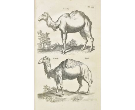Jonston (John). Historiae Naturalis de Quadrupedibus... de Serpentibus... de Insectis... de Exanguibus Aquaticis... de Piscib