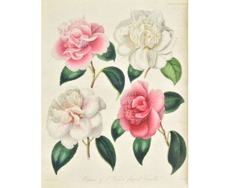 Transactions of the Horticultural Society of London. volumes 1-7 First series, volumes 1-2 (of 3) Second series, 1812-42, nin