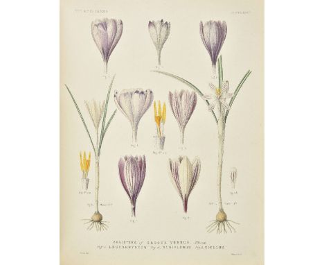 Maw (George). A Monograph of the Genus Crocus, 1886, half-title, double-page coloured map, eighty-one hand-coloured lithograp