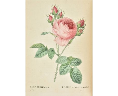 Redout‚ (Pierre-Joseph). Les Roses..., d‚crites et class‚es selon leur ordre naturel, par C.A. Thory, 3 volumes, 3rd octavo e