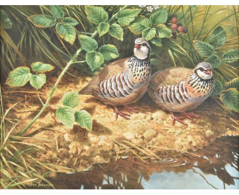 *Jackson (Michael 1961 -). Pair of French Partridge, 1996, watercolour, signed and dated by artist to lower left, 320 x 410 m