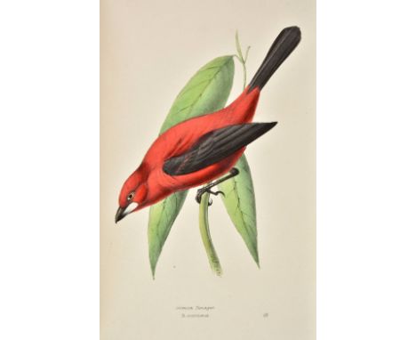 Swainson (William). A Selection of the Birds of Brazil and Mexico, London: Henry G. Bohn, 1841, 78 fine hand-coloured lithogr