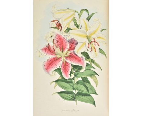 Elwes (Henry John). A Monograph of the Genus Lilium, 1st edition, [1877-] 1880, decorative title within floral border (with v