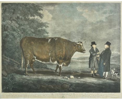*Scott (Robert). To Sir John Sinclair of Ulster Bart. M. P. & president of the Board of Agriculture, this print of The Northu