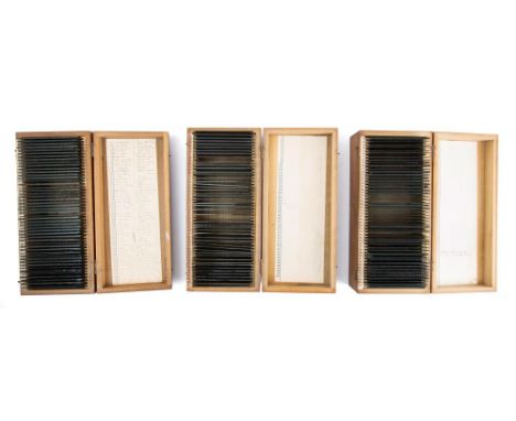 The photographic archive of Sir Harold Dudley Clayton, (1877-1951):  three boxes of early 20th century three quarter plate gl