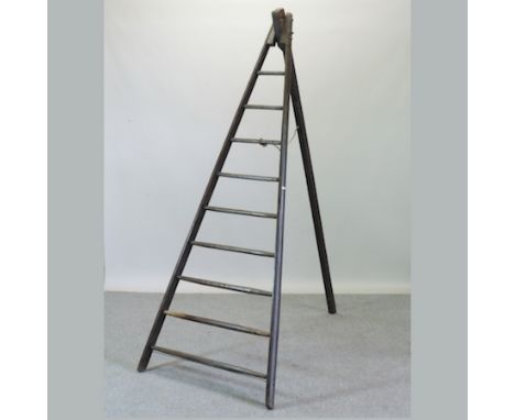 A wooden orchard ladder, 240cm tall
