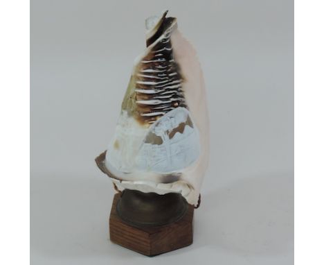 A shell cameo lamp, 26cm tall