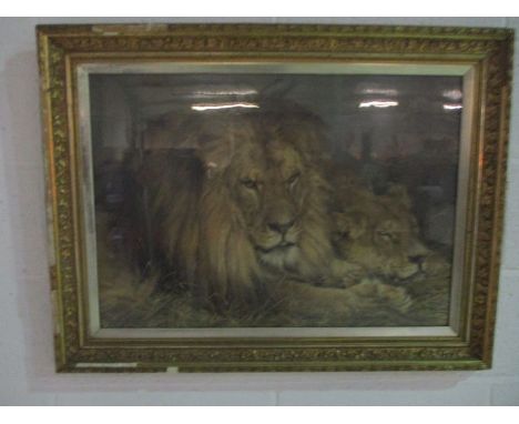 A large framed Pears print, Lion and Lioness after Sir Edwin Landseer