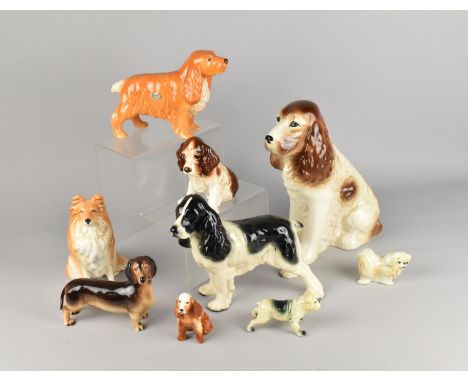 A Collection of Various Ceramic Dogs to Include Large Sylvac Spaniel, No.1462, Sylvac Collie, No. 5023, etc (Some Condition I