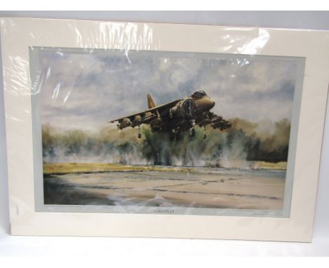 A limited edition print by Michael Rondot "Gauntlet" depicting Harrier Jumpjet, signed and mounted 