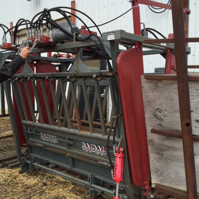 HD cattle squeeze chute WW Livestock Systems hydraulic chute, pd