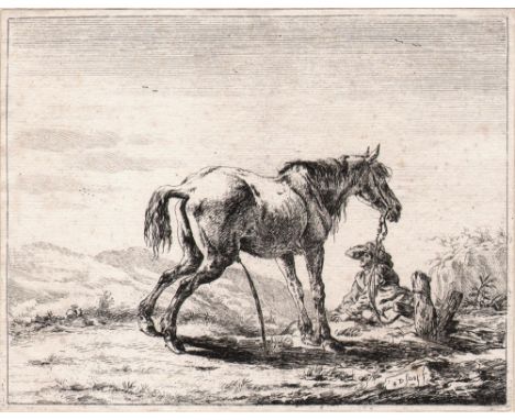 Dirk Stoop - A pissing horse  /  Description:  A pissing horse bound to a post at center, seen in profile facing right, a man
