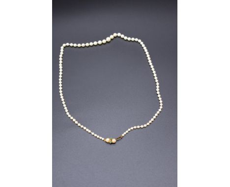 A graduated cultured pearl single strand necklace, having 9ct gold clasp set two pearls and two cabochon turquoise, 55cm. 
