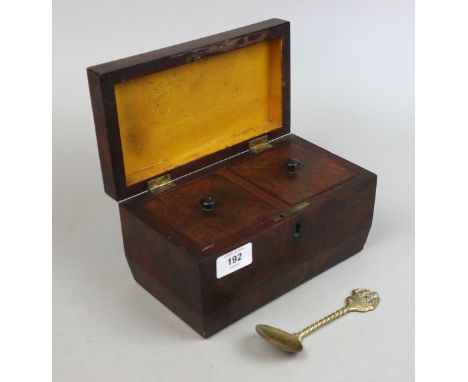 Early 19th C. Mahogany Sarcophagus Tea Caddy with Brass 'ELPEC' Tea Caddy Spoon 
