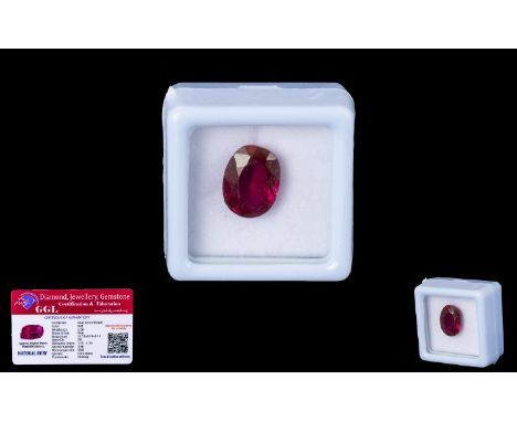 Natural Ruby Loose Gemstone With GGL Certificate/Report Stating The Ruby To Be 6.20cts Oval Cut, 11.71 x 8.59 x 5.20 mm, Natu