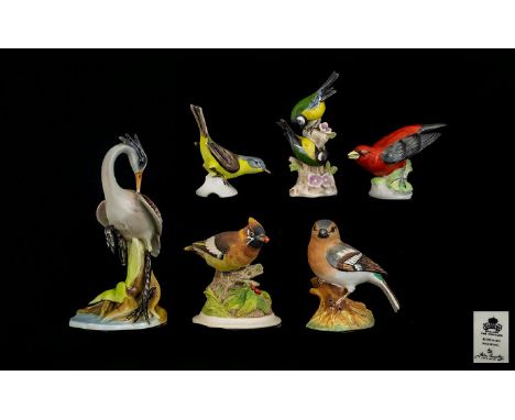 Excellent Collection of Signed Hand Painted Porcelain Ceramic Bird Figures From Different Factories ( 6 ) Six In Total. Compr