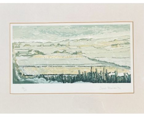Sonas MacLeon ('94), field scene with farmhouses to backgroup, print no 30/45, signed pencil bottom right, in a gilt glazed f