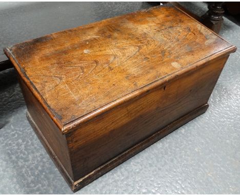Oak trunk 