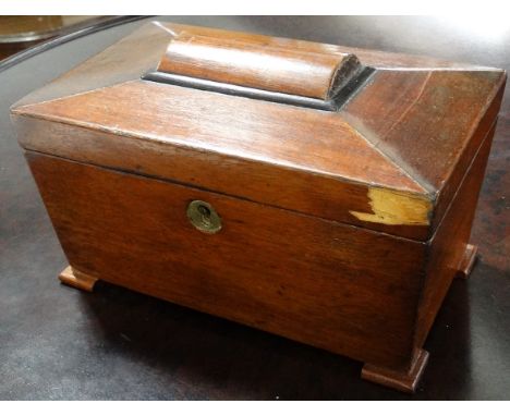 Mahogany Sarcophagus tea caddy 
