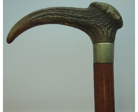 Horn handle walking stick 