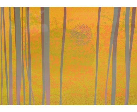L. Simmons, Orange Forest, woodblock print, 56cm x 71cm; and another monochrome print of a pond in woodland. (2).