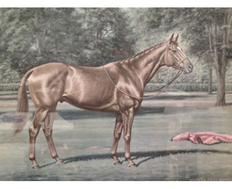 Framed and glazed limited edition print 705 / 750 Richard Stone Reeves Affirmed racehorse 58 x 45 cm 