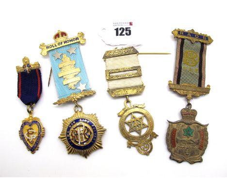 RAOB Medallions, including hallmarked silver gilt "Bro. Ernest E Hindes Britannia Lodge No. 3125 Exalted 24.5.66"; hallmarked