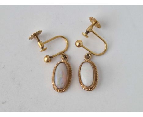 A pair of opal screw back earrings 9ct 2 gms