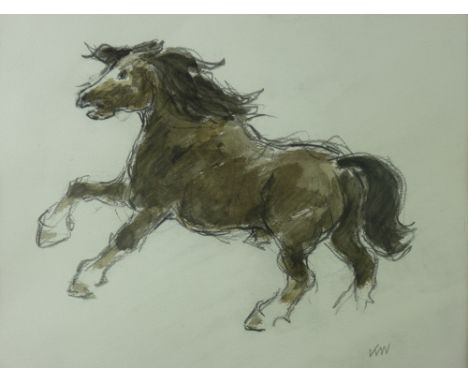 SIR KYFFIN WILLIAMS RA pencil and colourwash - study of a prancing Welsh Cob, signed with initials, 29 x 34 cms and a prepara