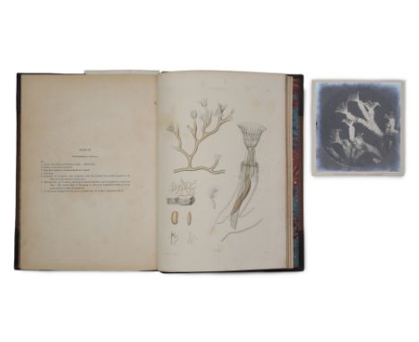 Allman, George James, Folio Edition of Fresh Water Polyzoa, 1886, Allman, George James, Folio Edition of ' A Monograph of the