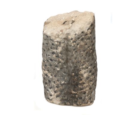 Minerals, Fossilised Tree Trunk Section, Fossilised Tree Trunk Section, 19cm long
