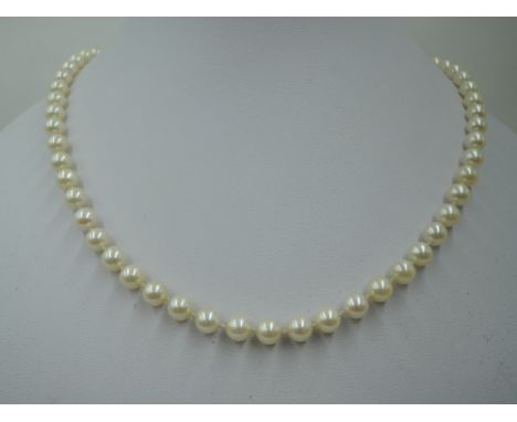 A string of cultured pearls by Lotus having even sized pearls and a pearl set 9ct gold box clasp,  approx 18'