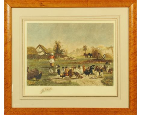 After C. Troyon, colour lithograph of a female feeding chickens with fox vignette.  40.5 cm x 50 cm.  