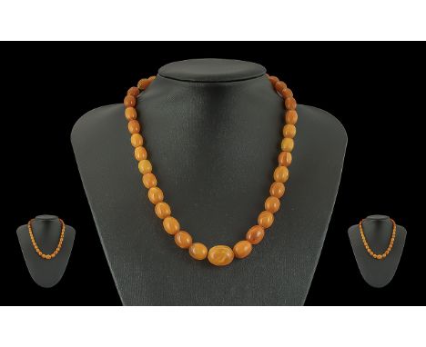 Ladies - Early 20th Century Butterscotch Amber Graduated Beaded Necklace, Bolt Ring, Marked 9ct. of Excellent Warm Colour. Le