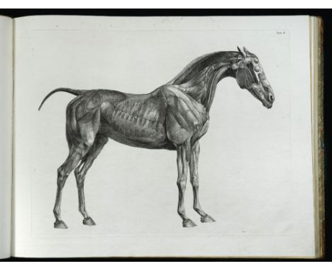 STUBBS (George) The Anatomy of the Horse, first edition 1766, oblong folio, library stamp to title and few text leaves, 24 pl