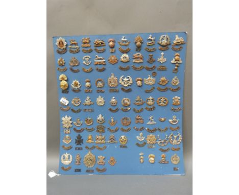 A carded display of the British army cap badges and shoulder titles featuring the sixty regiments at the start of WWI