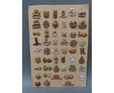 A collection of 50 British army collar badges including Sussex, Somerset Yeomanry, Cornwall, Berkshire etc