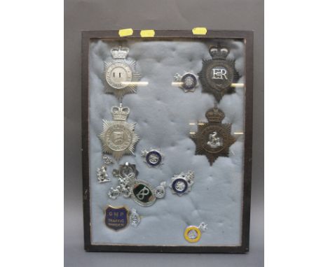 A display of police helmet plates and badges including Hertfordshire, Staffordshire County, Kent, GMP Traffic Warden, Clevela