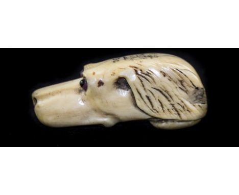 A Late 19th Century Ivory Figural Swagger Stick Top, In The Form of a Dogs Head with Glass Eyes. 2.5 Inches Wide. 
