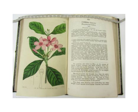 Edwards, Sydenham TeakThe Botanical Register: consisting of Coloured Figures of Exotic Plants. London: J. Ridgway, 1819. Volu