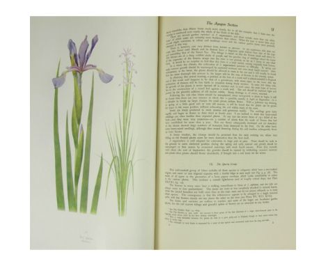 Iris - Dykes, William RickatsonThe Genus Iris. Cambridge: University Press, 1913. First edition, folio, 48 coloured plates, o