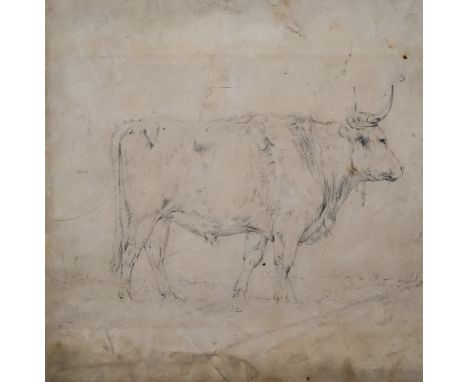 J W (Early 19th Century English School) - Pencil drawing - Study of a standing bull, indistinctly signed, 8.5ins x 8.25ins, E