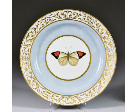 A Chamberlains Worcester Porcelain Plate, Circa 1810, the centre enamelled with a Chinese white, black and red butterfly, wit