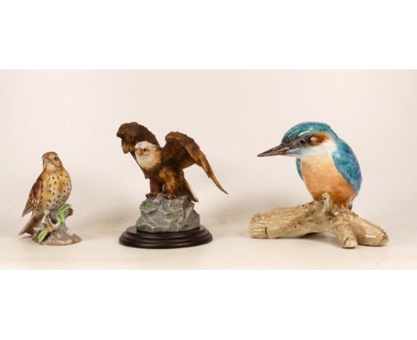 Three Ceramic Figurs of Birds to include an English Rose China Kingfisher and two other continental birds, a Mistlethrush and