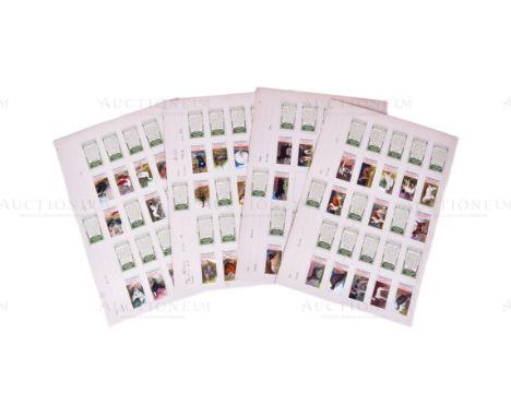 Mardon, Son &amp; Hall - Cigarette Cards - Fowls Pigeons &amp; Dogs (Ogden's Cigarettes 1906) - a full set of original proof 