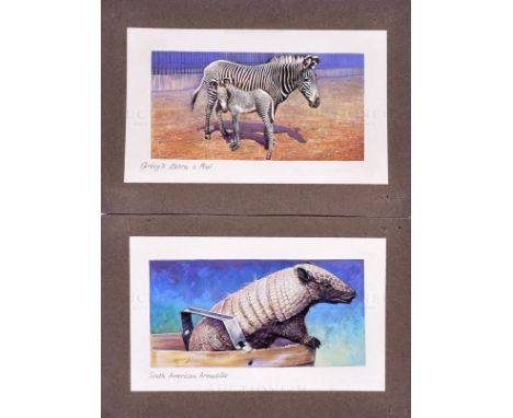 W.D. &amp; H.O. Wills - x2 pieces of highly detailed, mixed media, original artwork, believed to be created by artists who wo