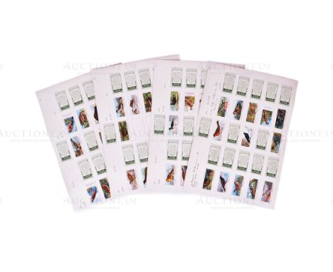 Mardon, Son &amp; Hall - Cigarette Cards - British Birds (Ogden's Cigarettes 1905) - a full set of original proof cards from 