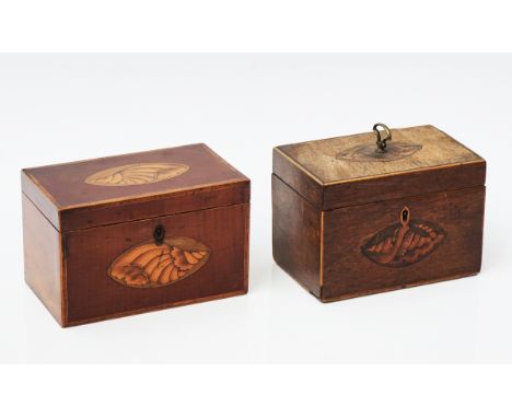 A GEORGE III CONCH SHELL INLAID RECTANGULAR FRUITWOOD TWIN DIVISION TEA CADDY19cm wide; 12cm high, together with a similar ma