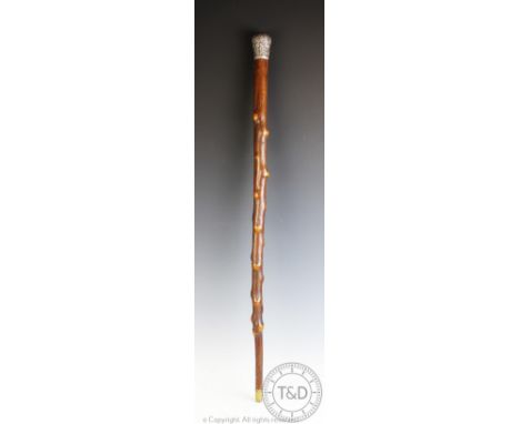 A silver topped walking stick, the gnarled wood body mounted with a white metal knop with vacant shield shaped cartouche, 86c